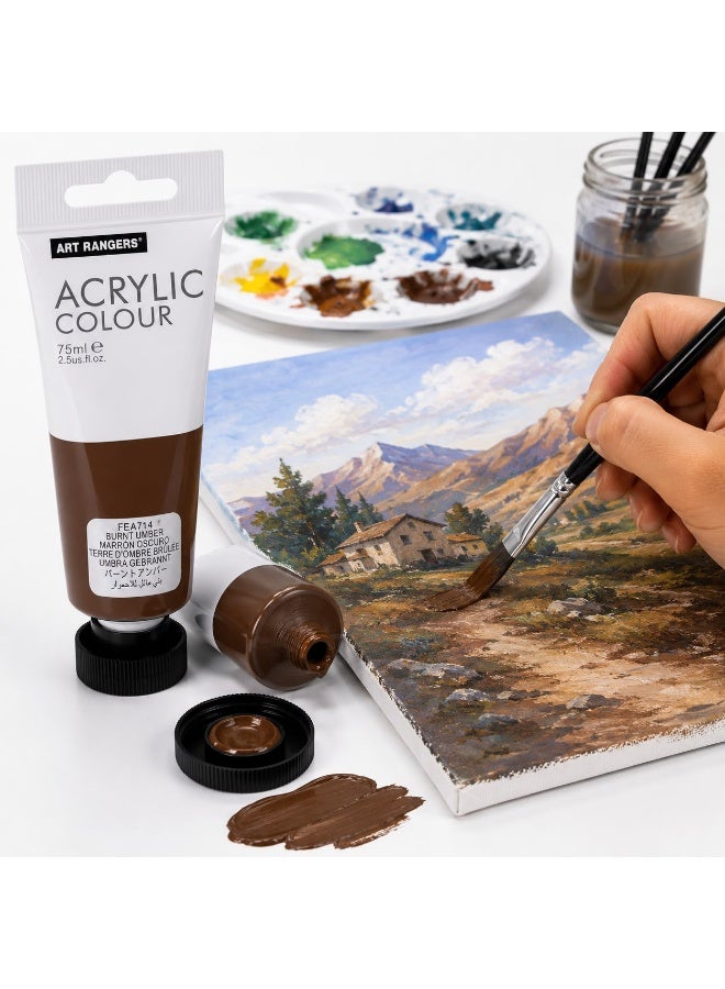 ART RANGERS Acrylic Colour – Burnt Umber 75ml | High-Quality Acrylic Paint for Art & Craft - FEA714 - Image 2