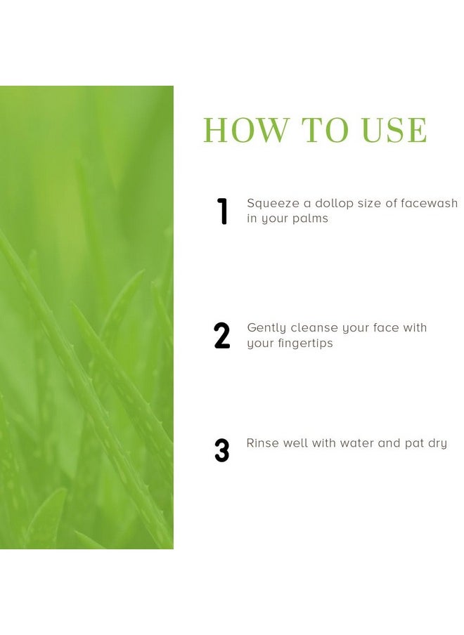 Khadi Natural Khadi Natural Aloe Vera Face Wash for Detoxifying & Moisturizing Skin | Natural Face Wash for Healthy Skin | SLS & Paraben Free | All Skin Types | 100 ml  - Image 4
