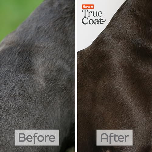 Hartz True Coat Short & Smooth Coat Specific Dog Shampoo, Soothes & Shines with Oat Milk, Coconut Oil & Vitamin E - Image 5