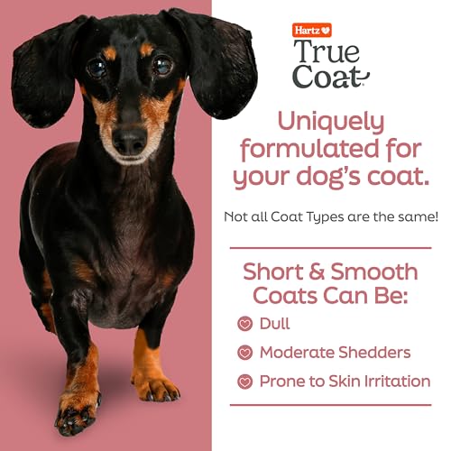 Hartz True Coat Short & Smooth Coat Specific Dog Shampoo, Soothes & Shines with Oat Milk, Coconut Oil & Vitamin E - Image 2