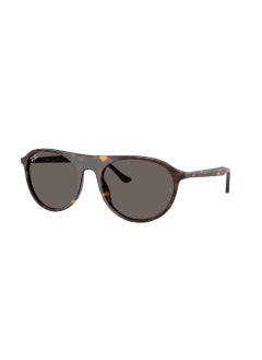 Ray-Ban 0Rb2215 Square Sunglasses  - Image 1