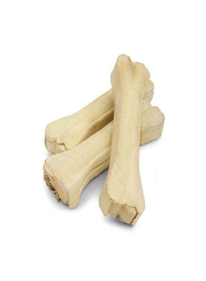 PawCloud Rawhide Pressed Dog Chew Bone, Dog Bone Treat, 8 Inches, 800 Gm (4 Pieces) - Image 3