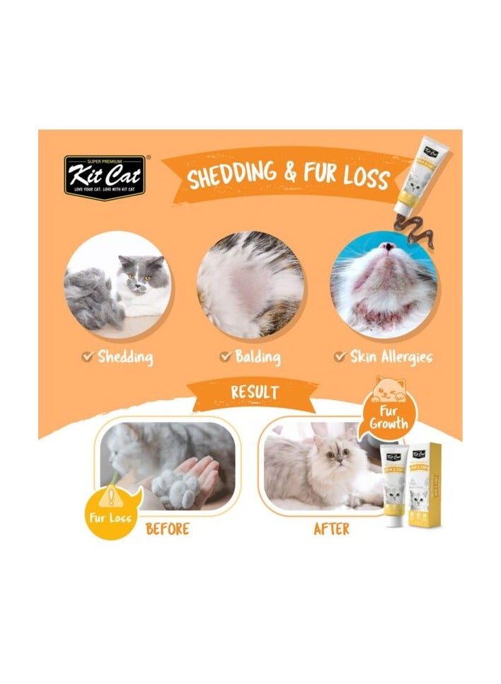 كيت كات مكمل غذائي يومي من كيت كات جل للقطط والقطط الصغيرة – للبشرة والفراء (120 جرام) - Image 2