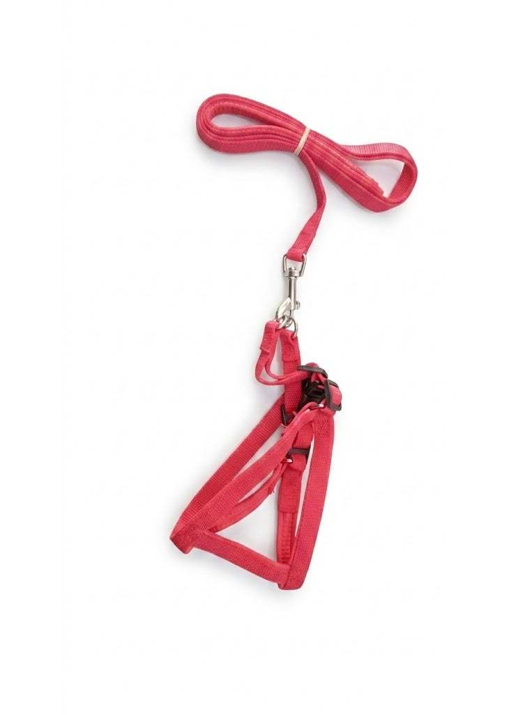 Nylon Dog Harness with Leash Set, Adjustable, for Small to Medium Pets, Walking - Image 1