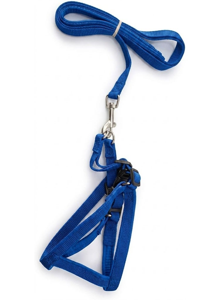 Nylon Dog Harness with Leash Set, Adjustable, for Small to Medium Pets, Walking - Image 2