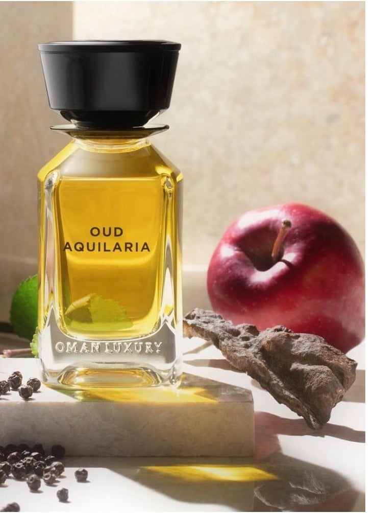 Oman Luxury Oud Equaleria perfume 100ml - pzsku/Z52D637B805F7983C2F5DZ/45/_/1737310013/6c2936f0-df67-41c2-be0d-2263a7ff06cb