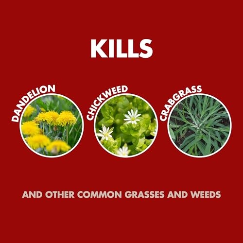 Spectracide Weed And Grass Killer Concentrate 40 Ounces, Use On Patios, Walkways And Driveways - Image 3