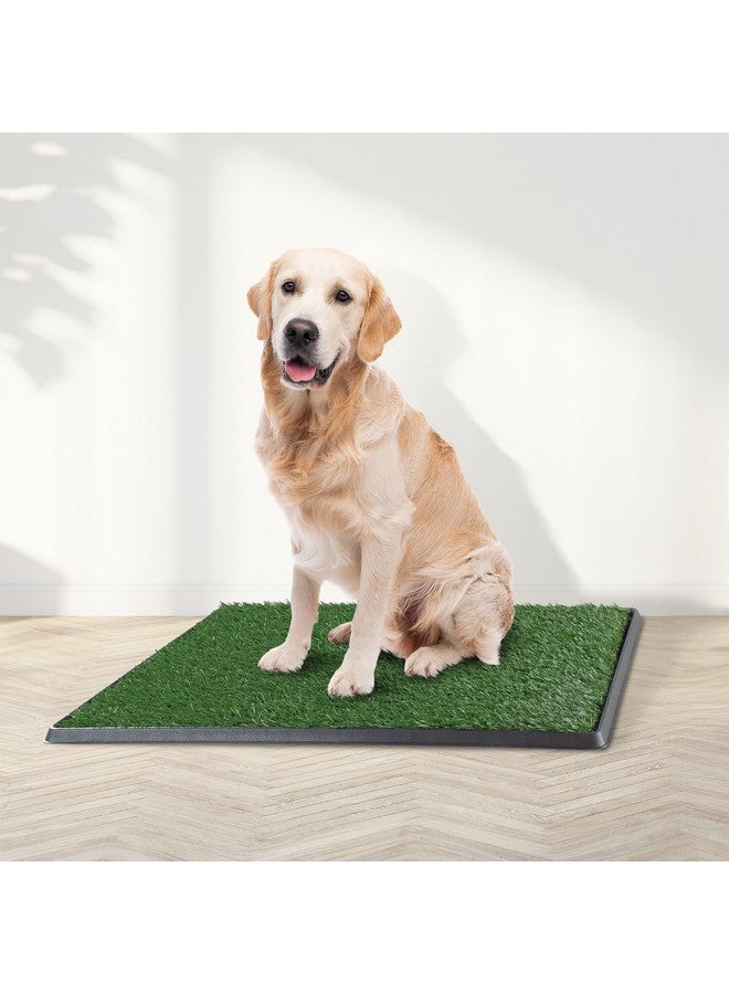 PETMAKER Artificial Grass Puppy Pee Pad for Dogs and Small Pets - 20x30 Reusable 4-Layer Training Potty Pad with Tray - Dog Housebreaking Supplies by PETMAKER, PET6200 - Image 2