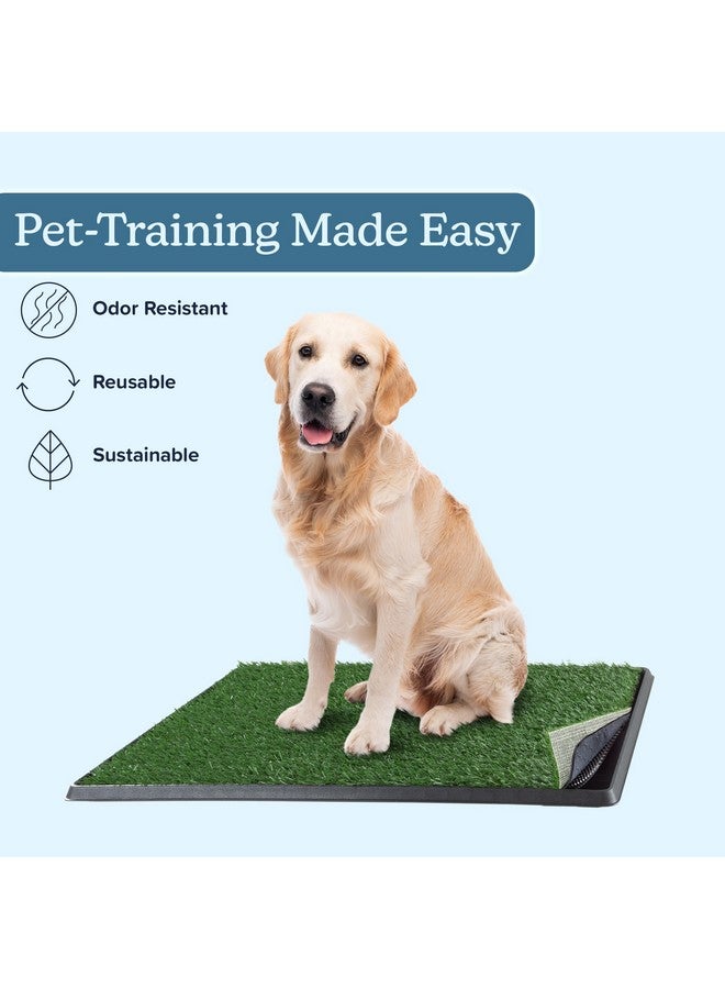 PETMAKER Artificial Grass Puppy Pee Pad for Dogs and Small Pets - 20x30 Reusable 4-Layer Training Potty Pad with Tray - Dog Housebreaking Supplies by PETMAKER, PET6200 - Image 4