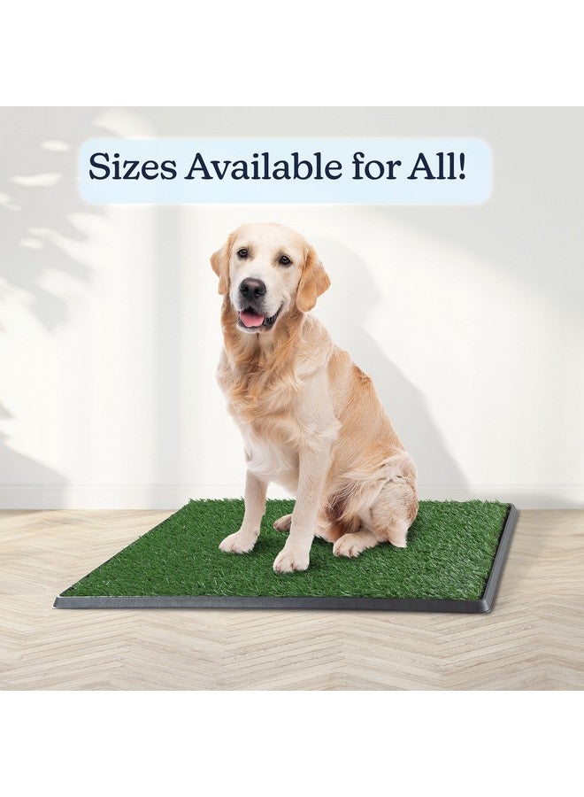 PETMAKER Artificial Grass Puppy Pee Pad for Dogs and Small Pets - 20x30 Reusable 4-Layer Training Potty Pad with Tray - Dog Housebreaking Supplies by PETMAKER, PET6200 - Image 3