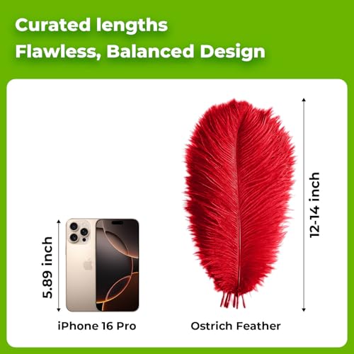 Piokio 20 pcs Natural Red Ostrich Feathers 12-14 inch(30-35 cm) Bulk for Wedding Party Centerpieces and DIY Clothes Decoration, Gatsby Decorations - Image 2