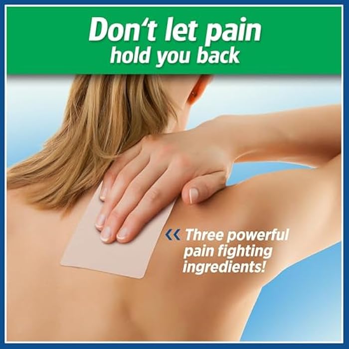 Salonpas لصقات سالون باس الكبيرة لتخفيف الألم - 6 لصقات - Image 2