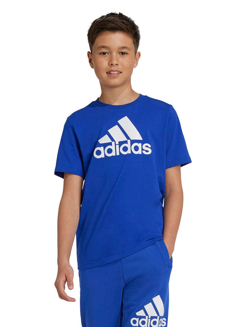Adidas Kids Essential Big Logo T-Shirt - Image 1