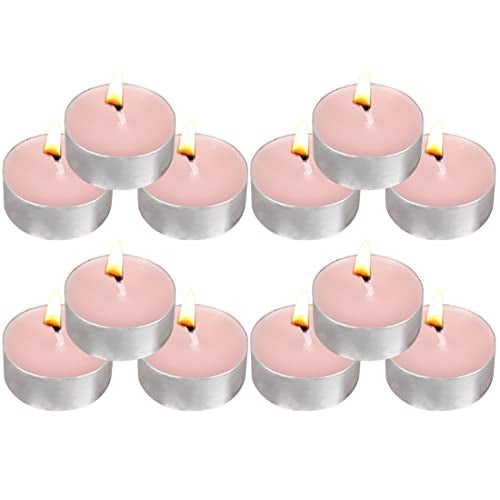 FUNHOKO Tea Lights Candles - 12 Pack Pink Tealights Candle Scented Rose Small Candle for Home, Holiday, Wedding & Party,Dinner Table, Halloween Christmas and Holiday (Pink Rose) - Image 1