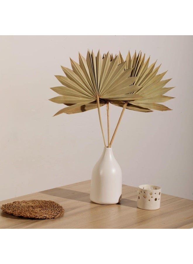 4 Pcs Natural Dried Palm Leaves, Palm Fans & Spears for Boho Wedding Home Decor - Image 1
