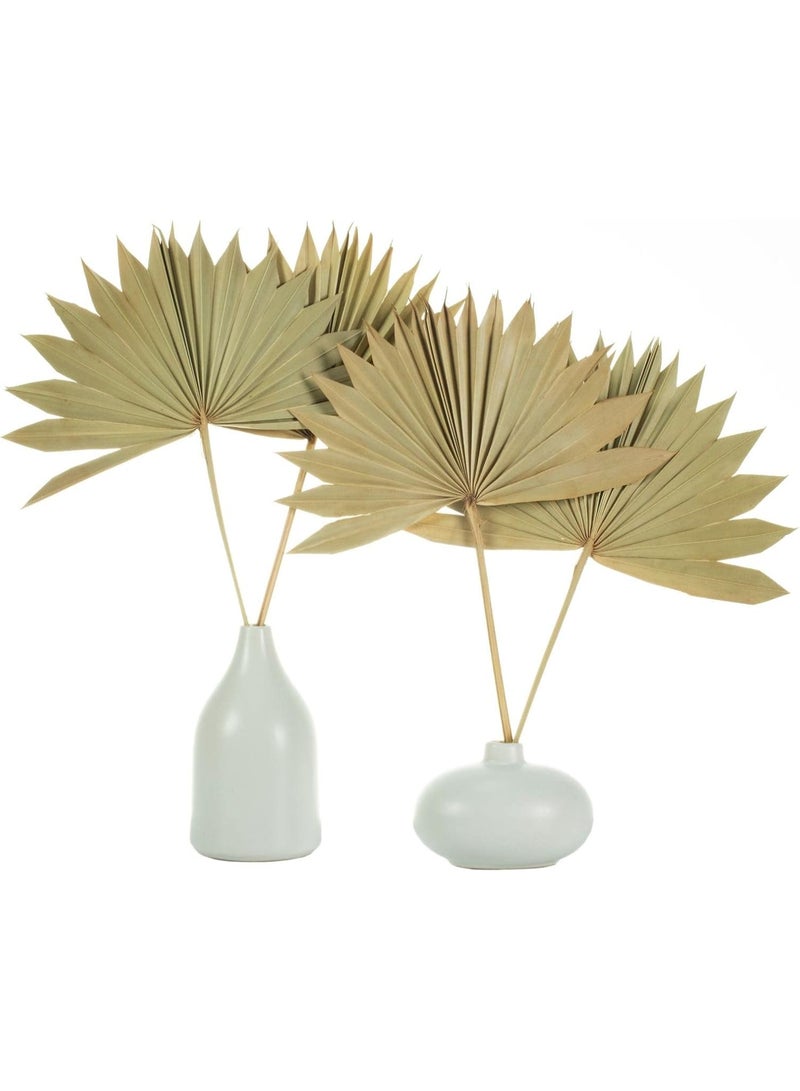 4 Pcs Natural Dried Palm Leaves, Palm Fans & Spears for Boho Wedding Home Decor - Image 3