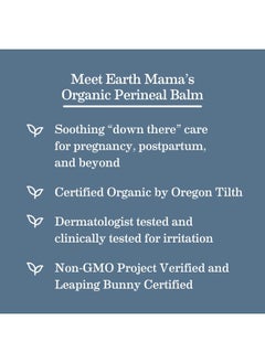 Organic Perineal Balm | Naturally Cooling Herbal Salve for Pregnancy and Postpartum Relief with Witch Hazel & Calendula, Feminine Care Essentials, Benzocaine & Butane Free, 2-FL OZ (2-Pk) - pzsku/Z52DC706ED22C7984ED93Z/45/_/1715586250/35cd4341-5622-48f9-ba27-00e19e8ca9b6