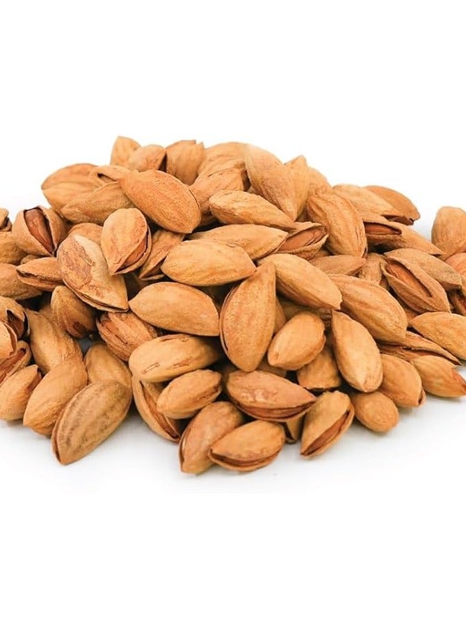 ROASTED ALMOND UZB 500 GM - Image 1