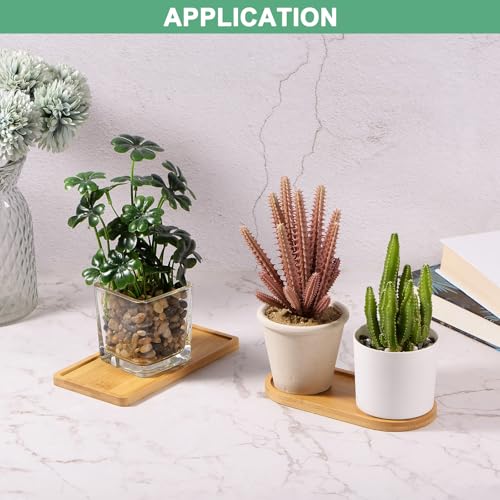 M METERXITY 3-Pack Bamboo Plant Saucer, Plant Saucer Oval Bamboo Tray Plant Plates for Flower Pots/Succulent Pots, Planter Pot Tray [Natural Color] - Image 5