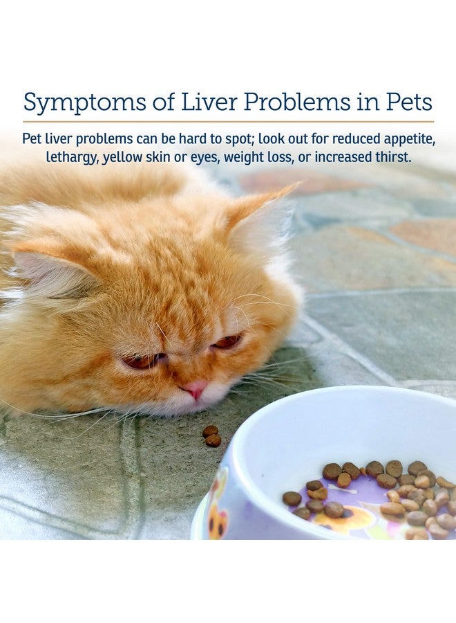 ركس فيتامينز فيتامينات Rx لدعم الكبد للكلاب والقطط - مكمل غذائي لدعم الكبد بخلاصة شوك الحليب - يعزز إزالة السموم من الكبد للحيوانات الأليفة المسنة - 90 قرصًا - Image 3