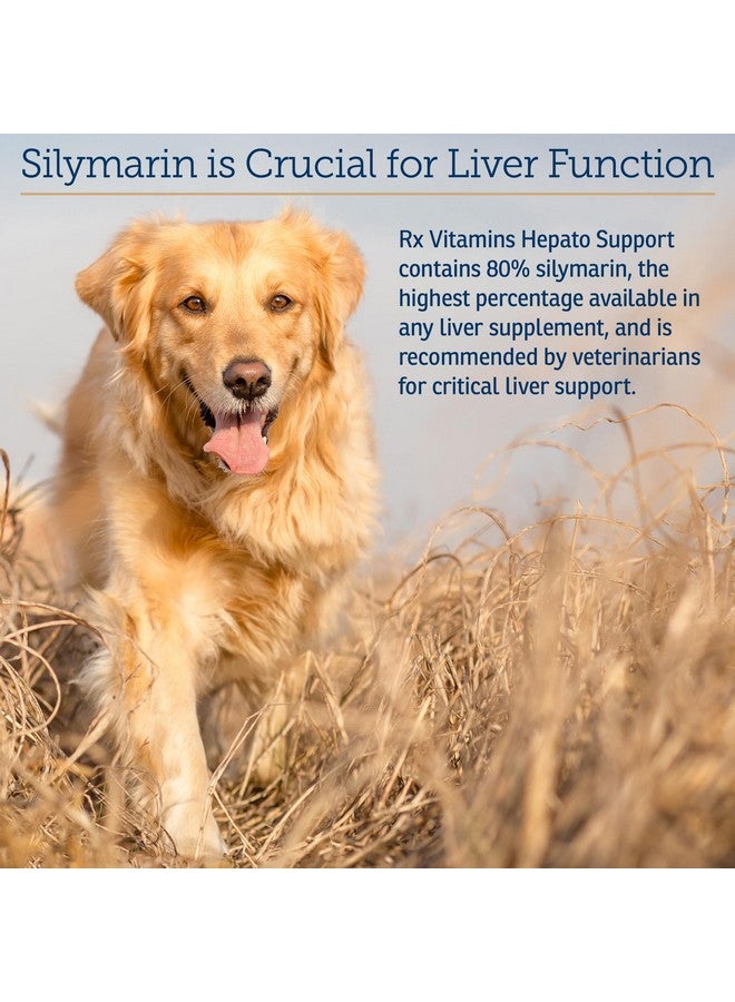 ركس فيتامينز فيتامينات Rx لدعم الكبد للكلاب والقطط - مكمل غذائي لدعم الكبد بخلاصة شوك الحليب - يعزز إزالة السموم من الكبد للحيوانات الأليفة المسنة - 90 قرصًا - Image 4