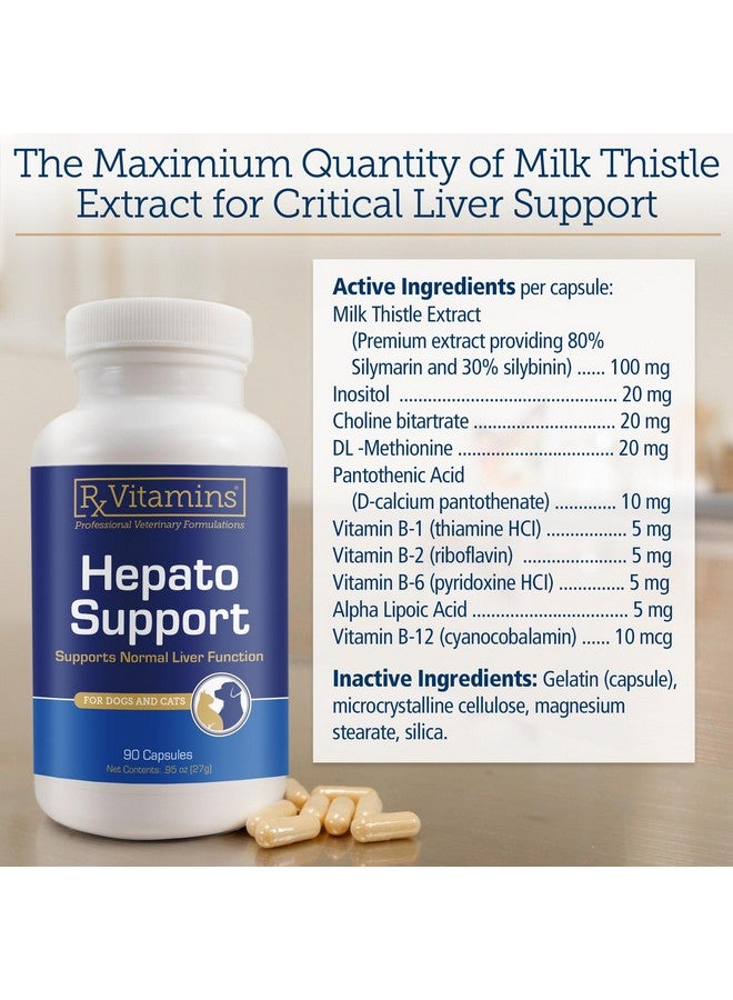 ركس فيتامينز فيتامينات Rx لدعم الكبد للكلاب والقطط - مكمل غذائي لدعم الكبد بخلاصة شوك الحليب - يعزز إزالة السموم من الكبد للحيوانات الأليفة المسنة - 90 قرصًا - Image 5