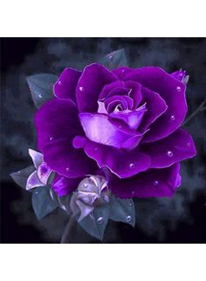 NIBEMINENT 5D Diamond Painting Kit Multicolour - Image 1