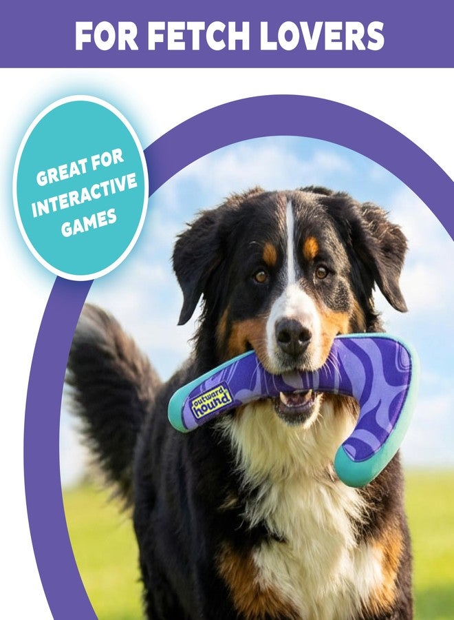 Outward Hound FlyFetch Boomerang Dog Toy, Lightweight Foam Core, Rubber Rim, Floats in Water, All Breeds, 11" - Image 2