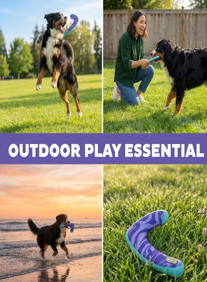 Outward Hound FlyFetch Boomerang Dog Toy, Lightweight Foam Core, Rubber Rim, Floats in Water, All Breeds, 11" - Image 4