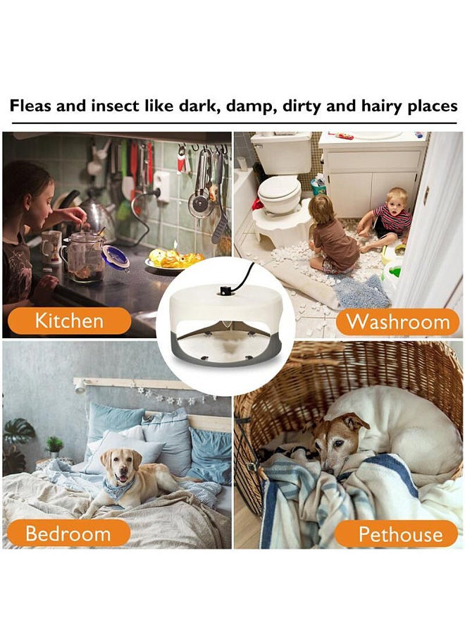Generic Sticky Flea Trap Dome Flea Bed Bug Trap with 2 Glue Discs, Odorless Non-toxic Flea Killer Trap Pad, Flea Trap Light Children and Pets Friendly, UK Plug  - Image 4
