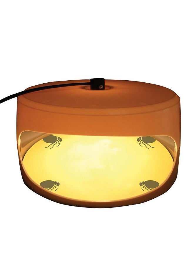 Generic Sticky Flea Trap Dome Flea Bed Bug Trap with 2 Glue Discs, Odorless Non-toxic Flea Killer Trap Pad, Flea Trap Light Children and Pets Friendly, UK Plug  - Image 2