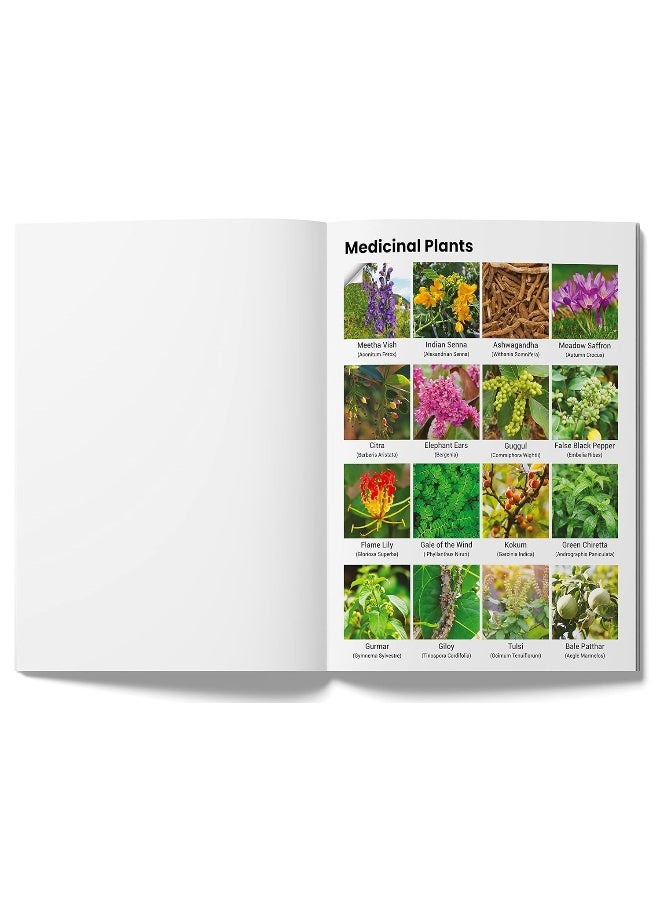 Peel & Paste - Pictorial Sticker Book For School Projects - Book 1  - Image 4