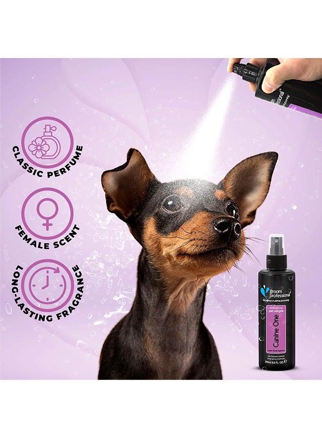 غروم بروفيشينال عطر كانين ون - 200 مل - Image 2