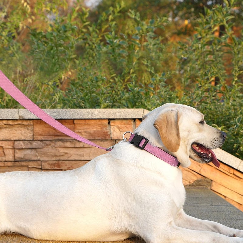 PenSeepet Dog Leash 6 FT Padded Handle Nylon Reflective Dogs Leashes for Medium Dogs Pink - Image 3