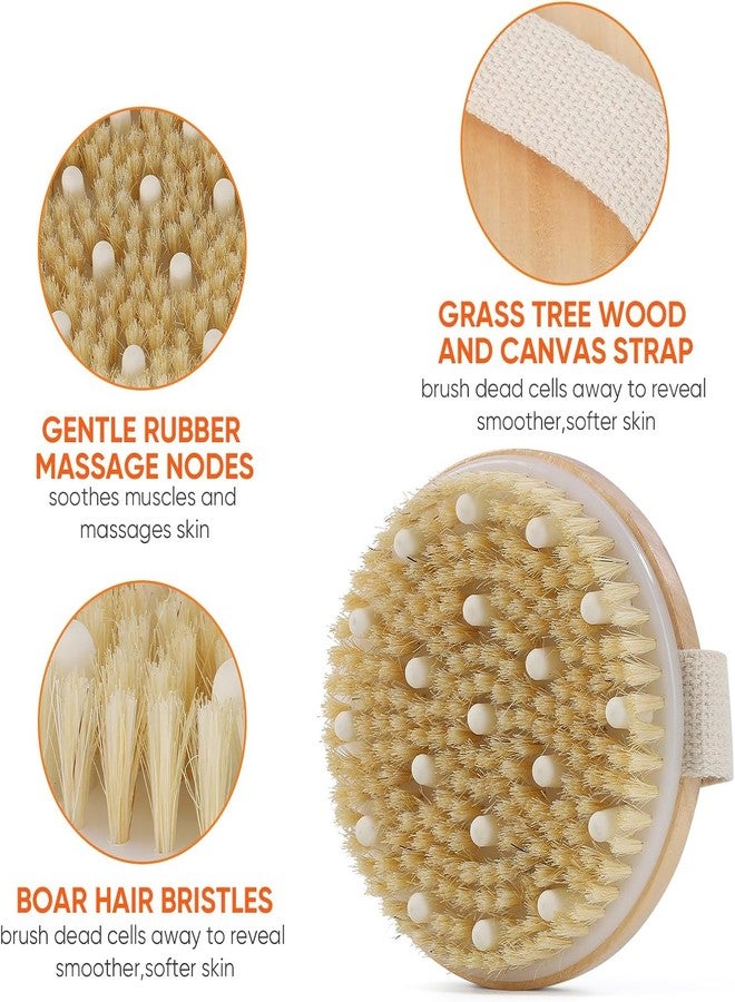 Runmay Dry Brushing Body Brush Exfoliating Body Scrubber Wooden Shower Brush Body Exfoliator Dry Brush Bath Brush for Cellulite and Lymphatic, Improve Circulation, Stop Ingrown Hairs - Image 2