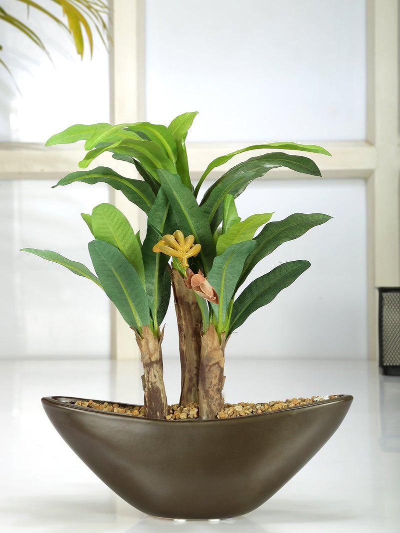 Fourwalls Artificial Banana Bonsai Plant in a Glass Vase for Home and Office Decor (27 cm Tall, Green) - Image 1