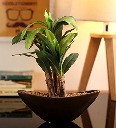 Fourwalls Artificial Banana Bonsai Plant in a Glass Vase for Home and Office Decor (27 cm Tall, Green) - Image 3