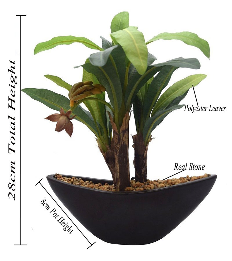 Fourwalls Artificial Banana Bonsai Plant in a Glass Vase for Home and Office Decor (27 cm Tall, Green) - Image 2