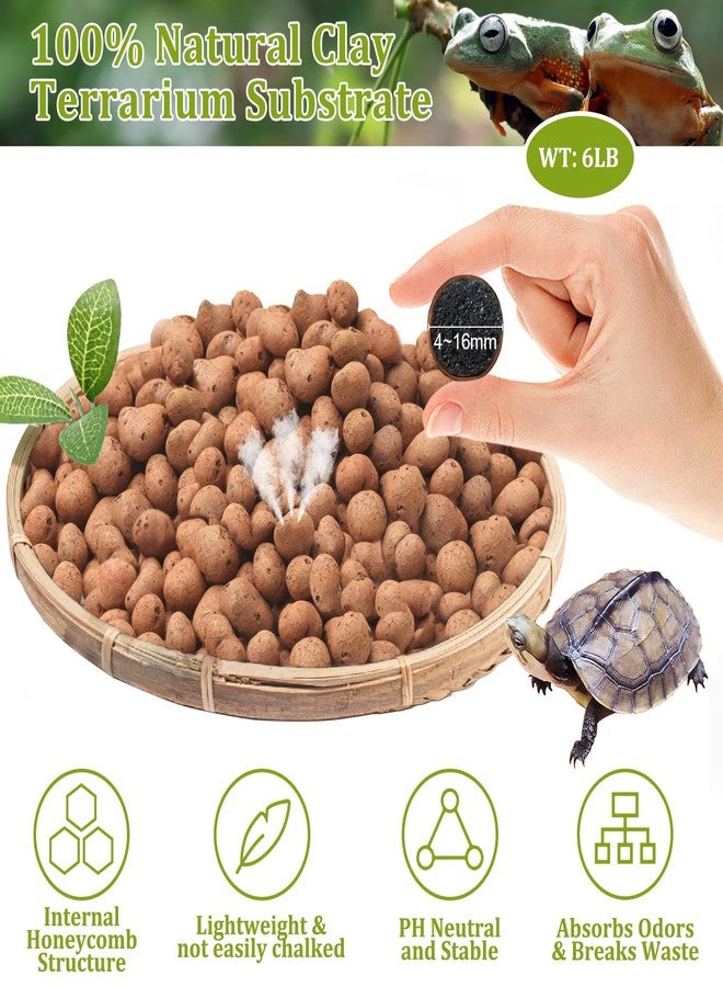 Riare 6LBS Expanded Clay Balls Terrarium Substrate for Reptiles - 100% Organic Lightweight Clay Pebbles Substrate Frogs False Bottom Substrate, Bioactive Terrarium Substrate for Drainage and Moisture - Image 2