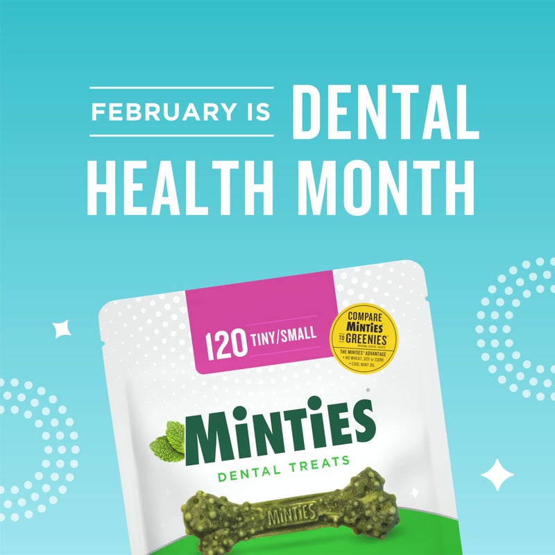 Minties Dental Chews for Dogs, 120 Count, Vet-Recommended Mint-Flavored Dental Treats for Tiny/Small Dogs 5-24 lbs, Dental Bones Clean Teeth, Fight Bad Breath, and Removes Plaque and Tartar - Image 2