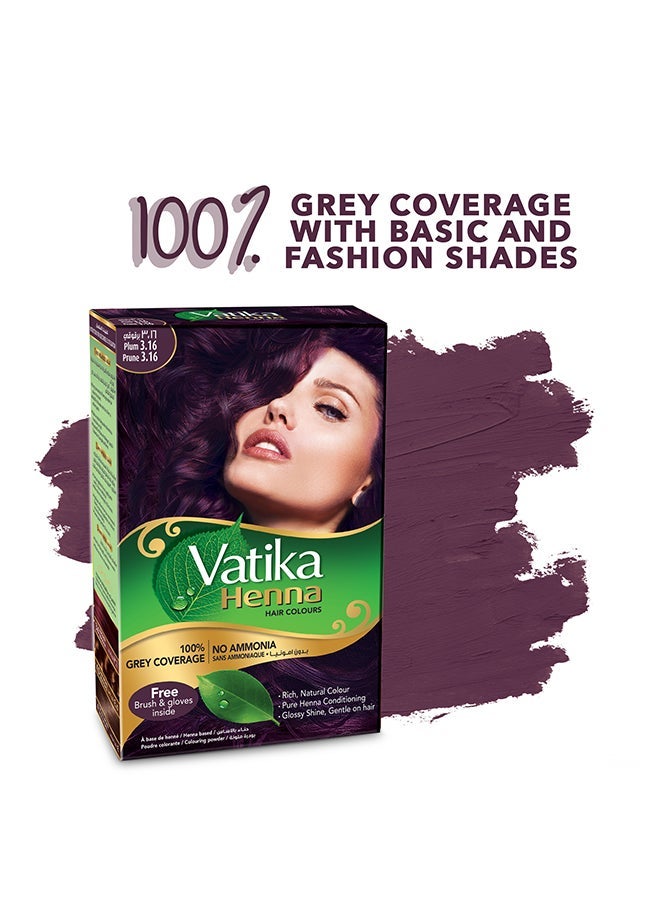 VATIKA صبغة شعر الحناء، برقوق، عبوة 10 جرام من 2 برقوق - Image 2