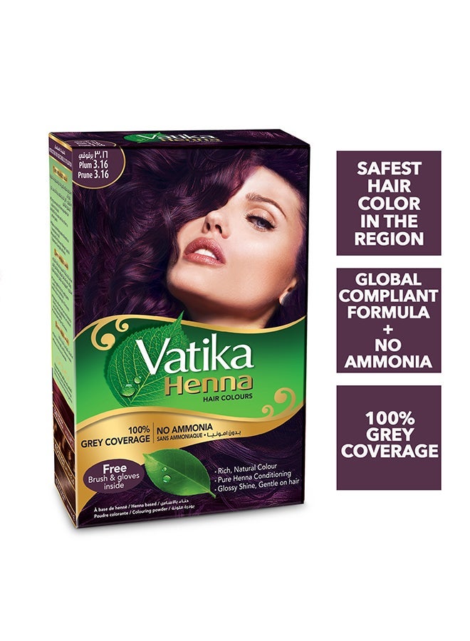 VATIKA صبغة شعر الحناء، برقوق، عبوة 10 جرام من 2 برقوق - Image 3