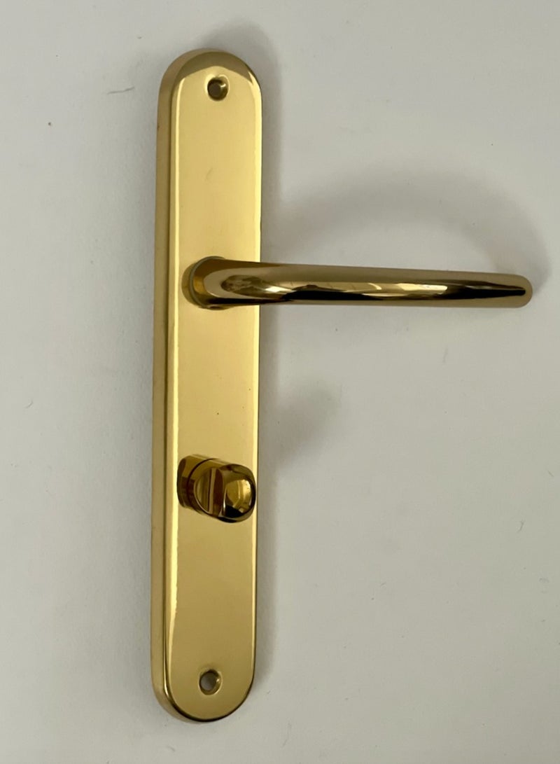 Siag Remo Bathroom Door Handle 