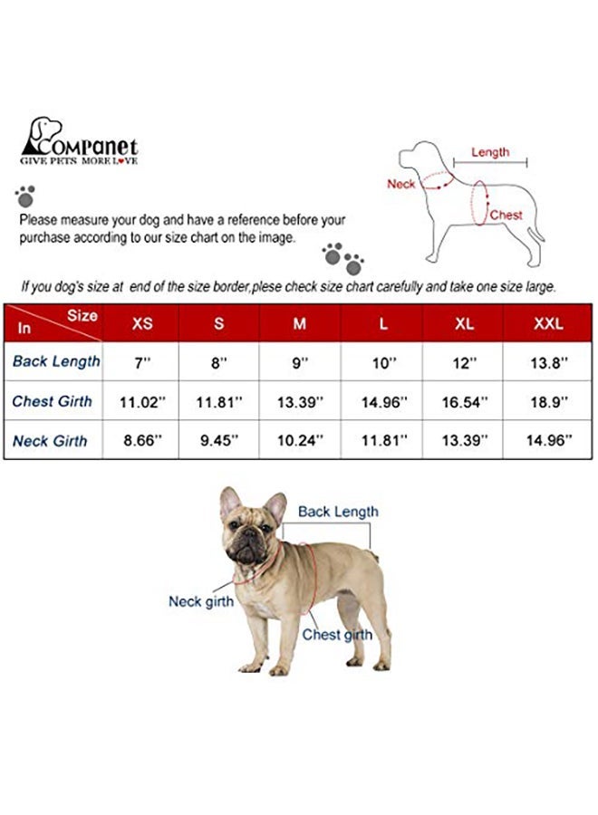 Loquat Companet Dog Jeans Jacket Blue X-Large - Image 4