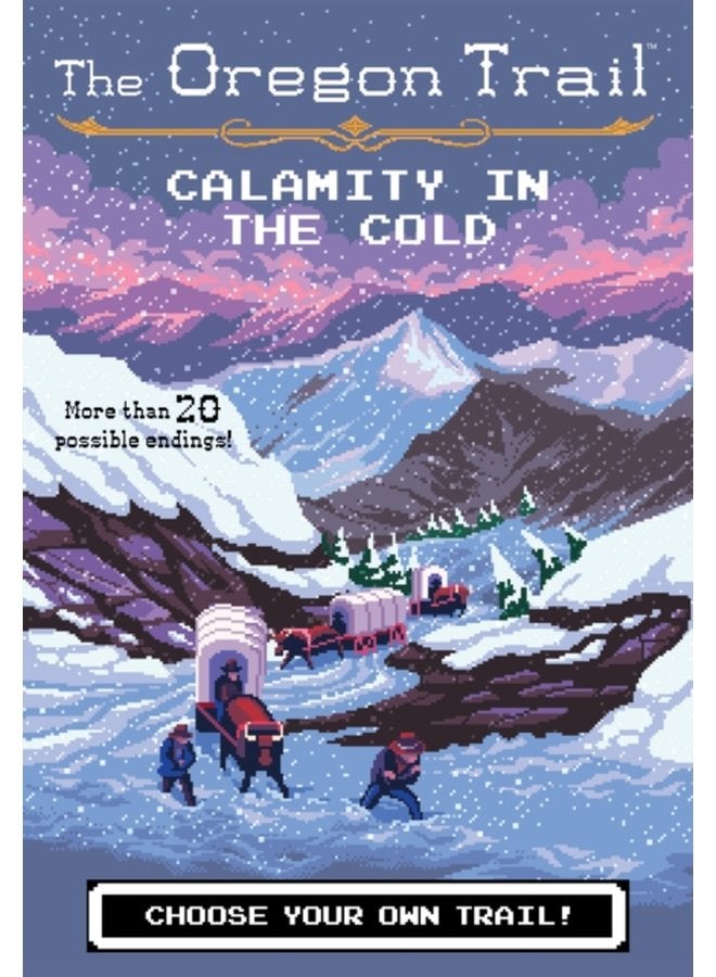 The Oregon Trail Calamity in the Cold 8 - Paperback