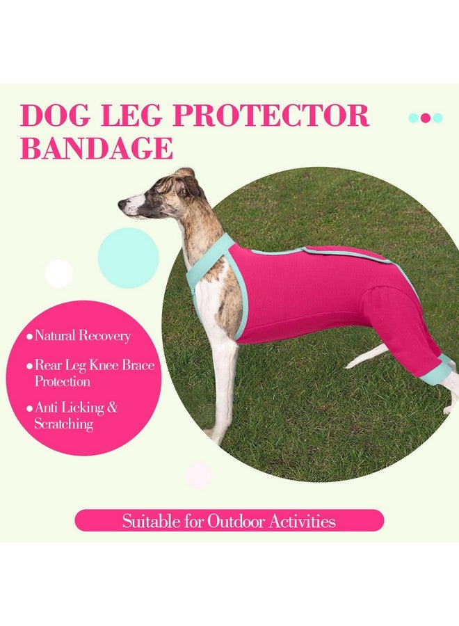 ROZKITCH Dog Surgery Recovery Sleeve Rear Legs, Male Female Pet Prevent Licking Wound Elbow Brace Protector, Dog Recovery Suit Cone Collar Alternative Pants Shirt for Wound Heal Wrap Rosered L - Image 4