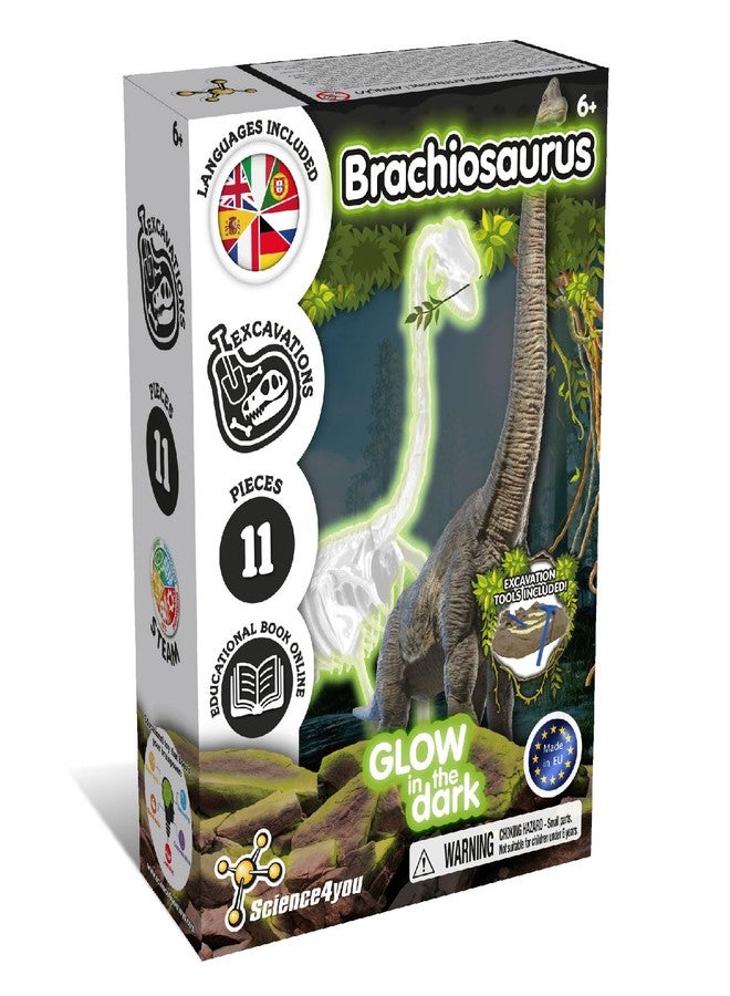 Science4you Brachiosaurus Fossil Digging Kit for Kids +6 Years - Dinosaur Fossil Dig Kit, Glow-in-The-Dark Brachiosaurus Fossils, Excavation Kit, Stem Toys, Games, Gifts for Kids Age 6 7 8+ - Image 1