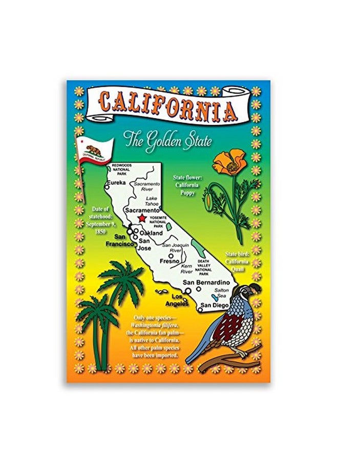 Postcard Fair U.S. State Map Postcard Set. 50 modern post card variety pack. Illustrated postcards with maps of all fifty states of the United States of America. Made in USA.  - Image 5