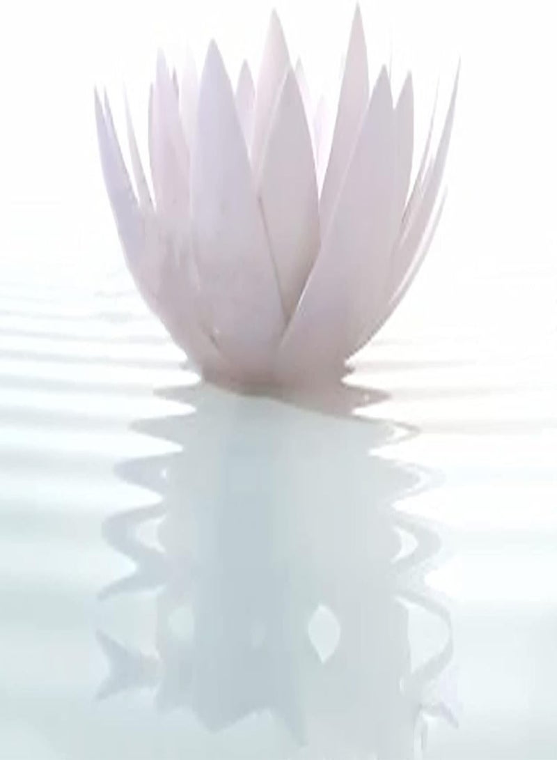 GGOOT Natural Water Lily,Water Lily Seeds,Suitable for hydroponics, Ornamental Flowers, Beautiful Big Flower, Long Flowering period-50 PCS,3