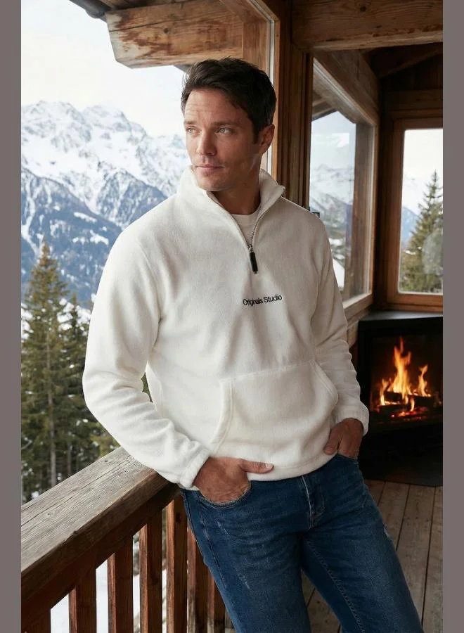 Buratti Buratti Regular Fit Half-Zip Stand-Up Collar Soft Textured Sweatshirt Men's SWEAT 59060661